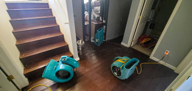 Best Water damage restoration near me  in Elkin, NC