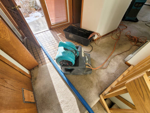 Best Flood damage cleanup  in Elkin, NC