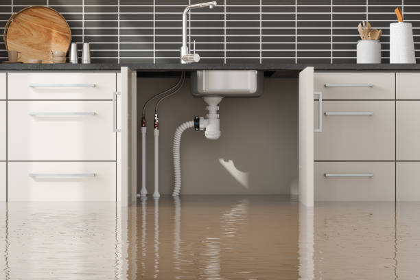 Best Professional water damage repair  in Elkin, NC